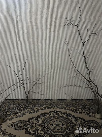 Аренда фотостудии