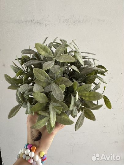 Искусственные цветы IKEA