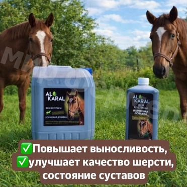 Натуральная добавка для лошадей в корм