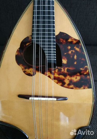 Мандолина концертная