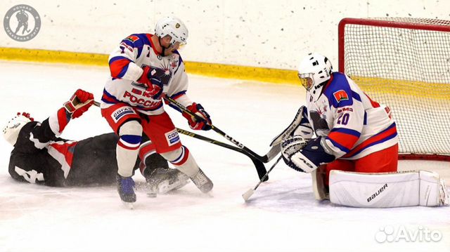 Хоккейный вратарь