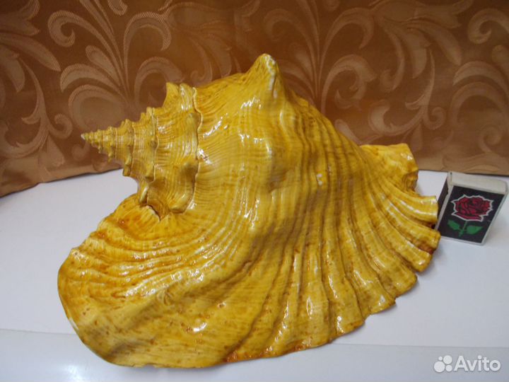 Грот для аквариума, ракушки