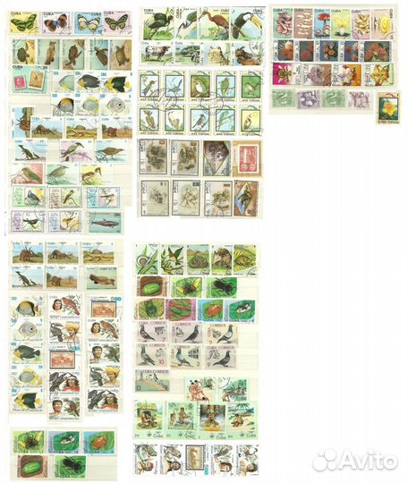 Фауна и флора. Америка Латинская 238шт + 1бл