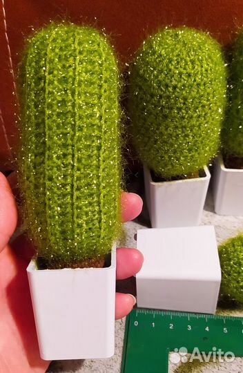 Вязаный кактус