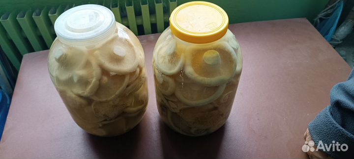 Белые грибы маринованные