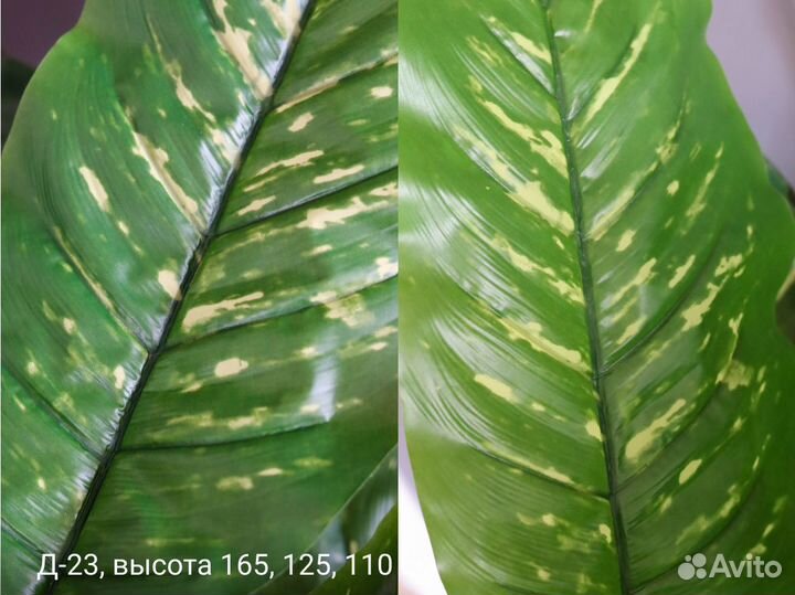 Искусственные деревья, Диффенбахия комплект