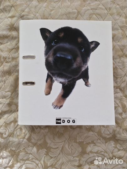 Папка The Dog Collection