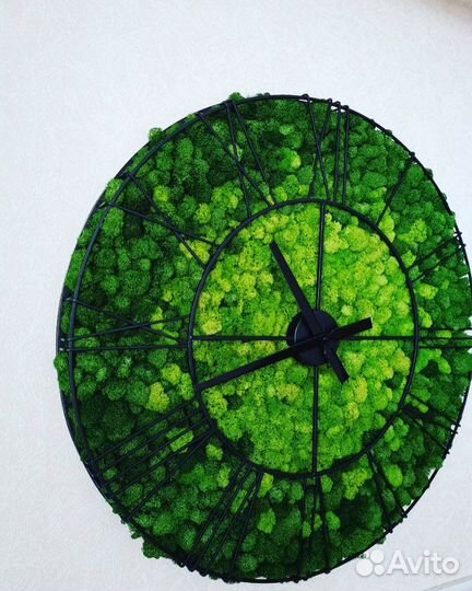 Вертикальное озеленение