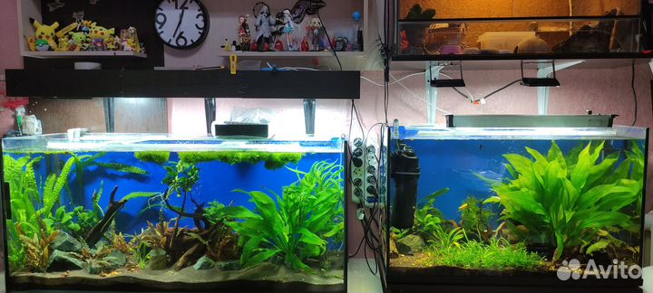Аквариумы, фильтра, компрессора и прочее