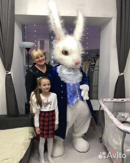 Шоу ростовой куклы кролик Поздравление на праздник