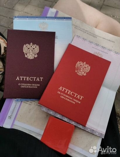 Репетитор по математике и обществознанию огэ впр