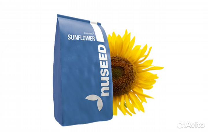 Cемена подсолнечника нхк12М010 (Nuseed)