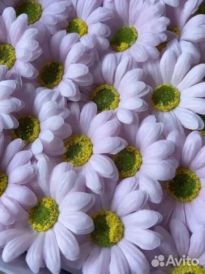 Мыльные цветы - герберы