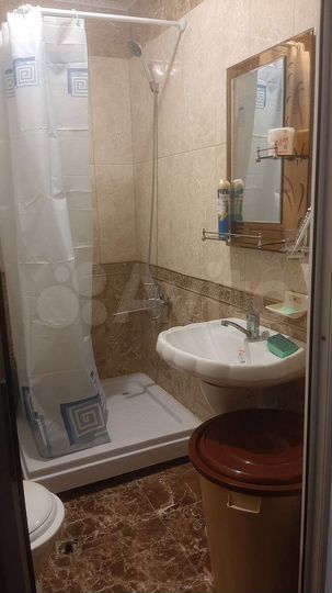 Квартира-студия, 24,5 м², 2/4 эт.