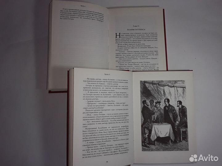 Путешествия и приключения капитана Гаттераса. Жюль