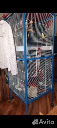 Продажа клеток для птиц