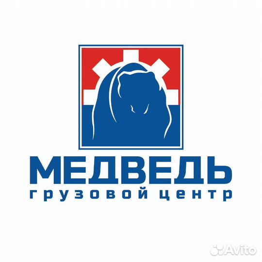 Бейсболка ford trucks