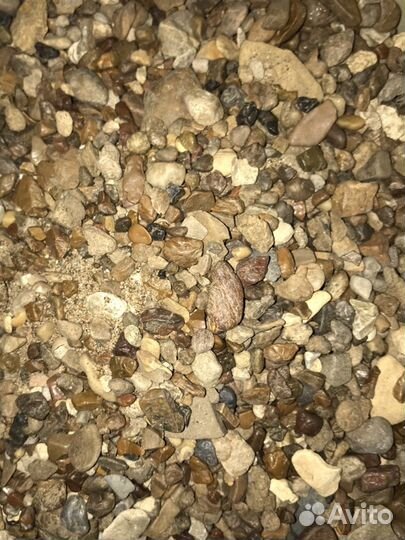 Грунт аквариумный