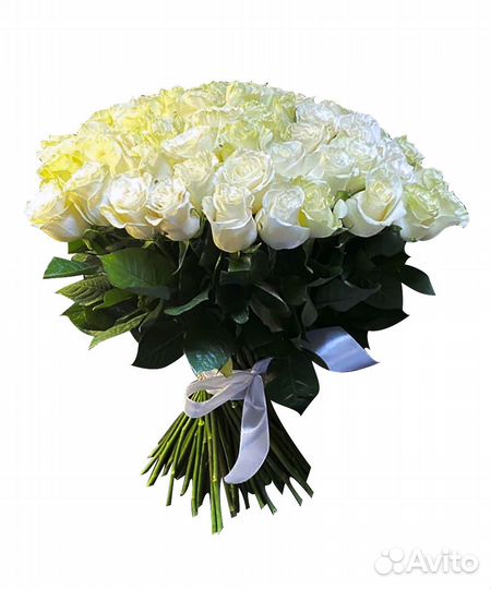 51 белая роза эквадор