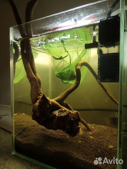 Коряги для аквариума