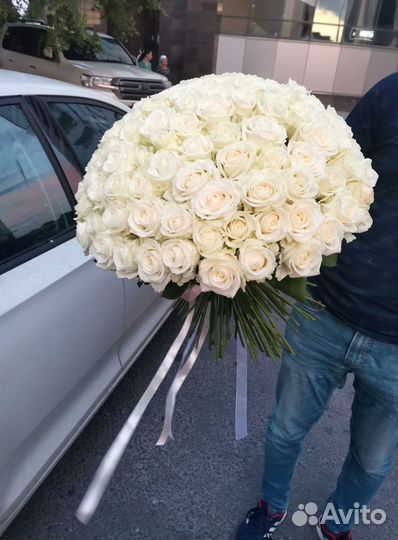 Розы, букет цветов 101 роза