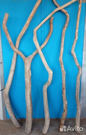 Коряги, ветки, стволы. Карагач, вяз