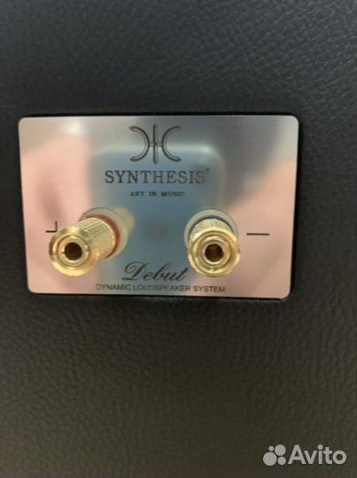 Колонки synthesis debut