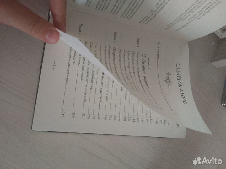 Книга green witch