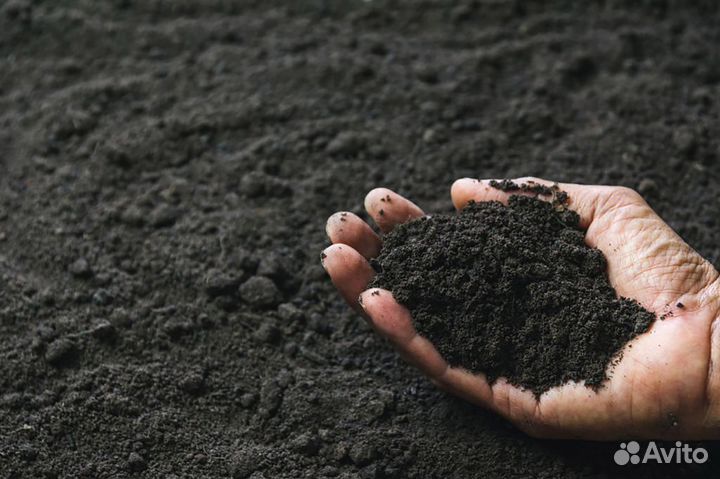 Земля плодородная чернозем с доставкой