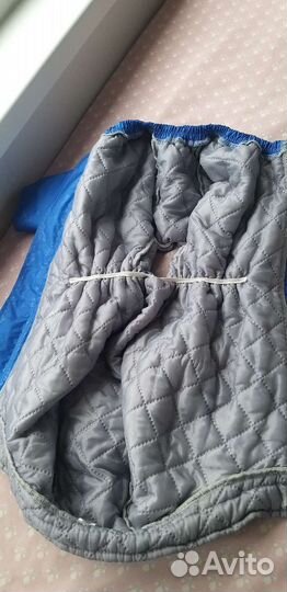 Одежда для собак