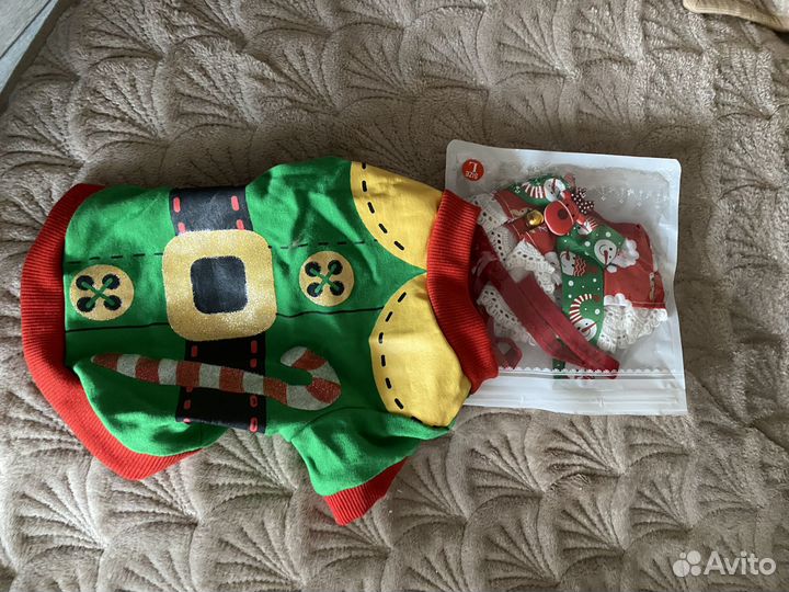 Одежда и обувь для собак бу