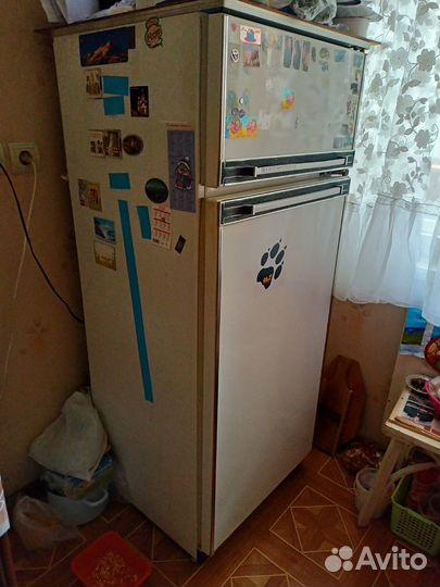 Холодильник Ока