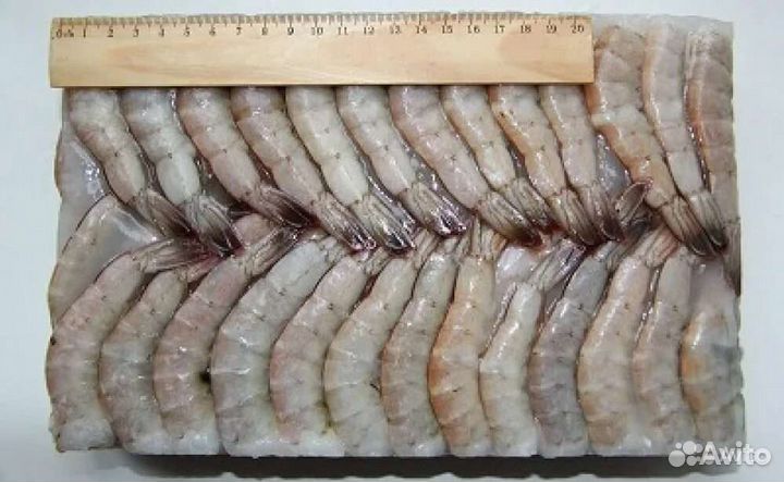 Креветки блок 21/25