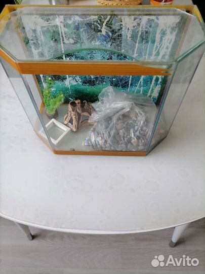 Аквариум для рыбок