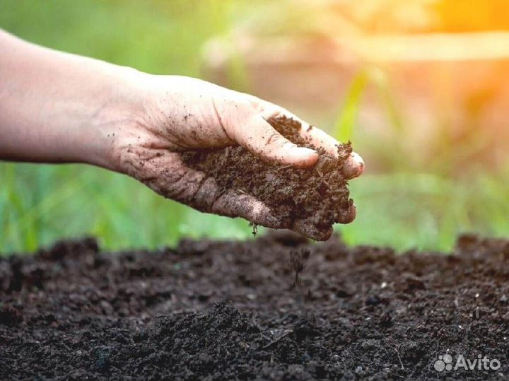 Грунт плодородный