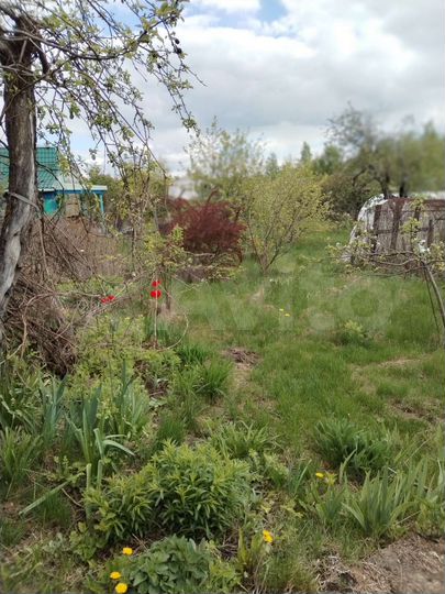 Дача 20 м² на участке 6 сот.