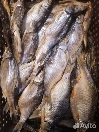 Вяленая рыба