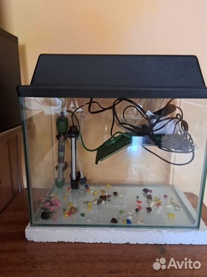 Аквариум
