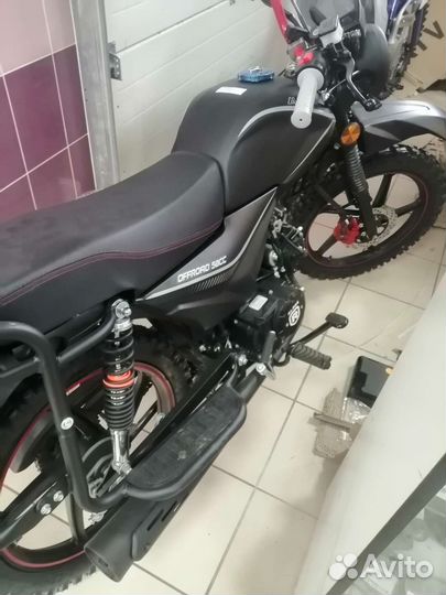 Alpha offroad 125