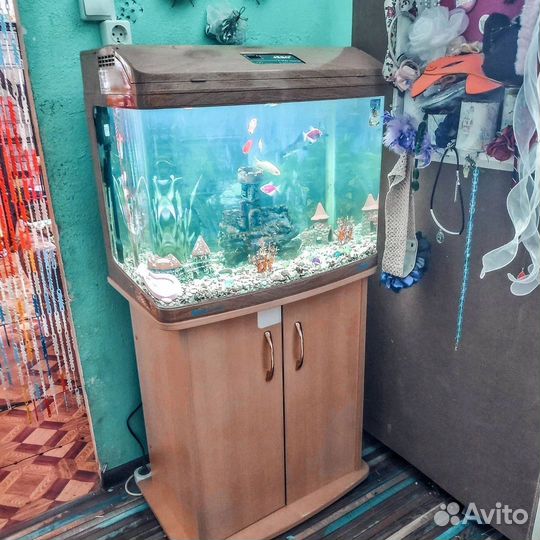 Аквариум Jebo new R362 с тумбой 100мл