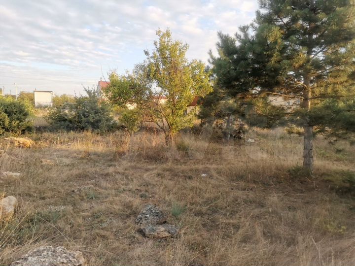 Участок 4 сот. (СНТ, ДНП)