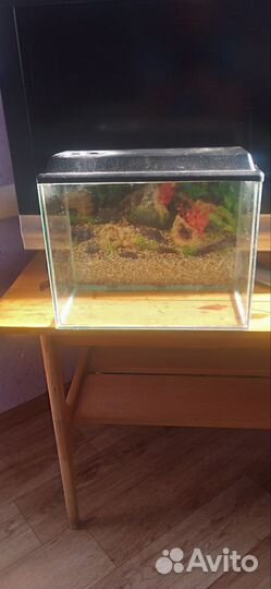 Аквариум
