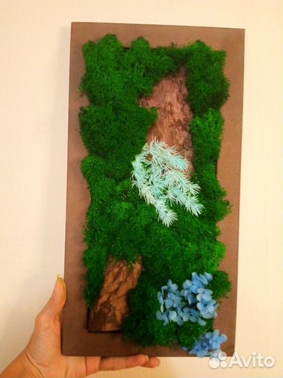 Картина из стабилизированного мха