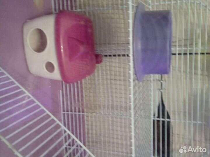 Клетка для грызунов