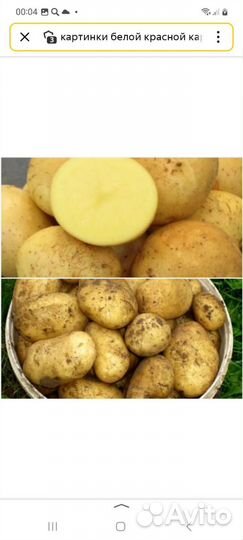 Продам картофель с доставкой
