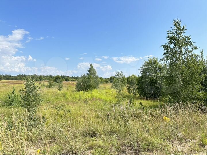 Участок 3,8 га (ИЖС)