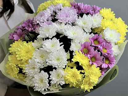 Цветы. Хризантемы с доставкой в Челябинске