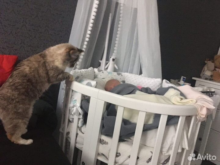 Кроватка круглая ellipse