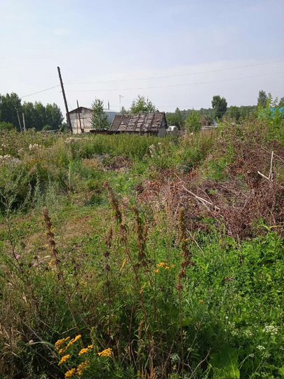Участок 6 сот. (СНТ, ДНП)