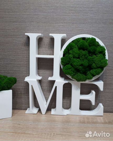 Стабилизированный мох декор home